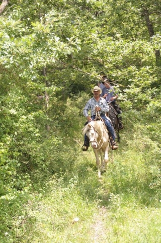  Équitation